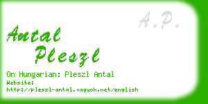 antal pleszl business card